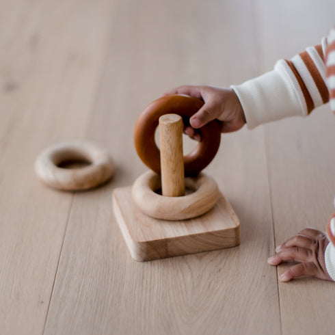 QTOYS - Montessori Sorting Rings